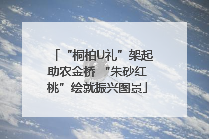 “桐柏U礼”架起助农金桥 “朱砂红桃”绘就振兴图景