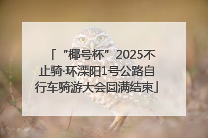 “椰号杯”2025不止骑·环溧阳1号公路自行车骑游大会圆满结束