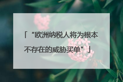 “欧洲纳税人将为根本不存在的威胁买单”