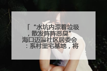 “水坑内漂着垃圾，散发阵阵恶臭” 海口迈瀛社区居委会：系村里宅基地，将派人打捞垃圾