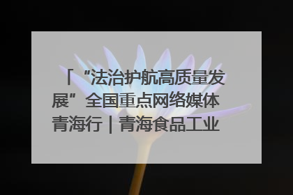 “法治护航高质量发展”全国重点网络媒体青海行｜青海食品工业协会：架起“青字号”美食的产业化桥梁