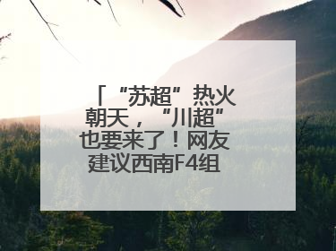“苏超”热火朝天，“川超”也要来了！网友建议西南F4组建西甲联赛！