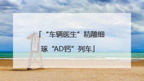 “车辆医生”精雕细琢“AD钙”列车