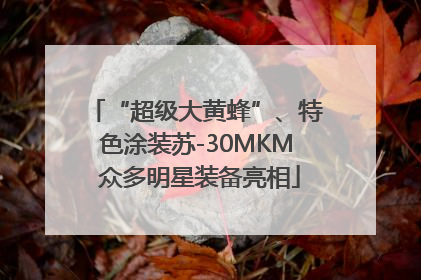 “超级大黄蜂”、特色涂装苏-30MKM 众多明星装备亮相