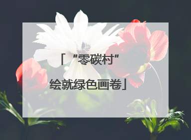 “零碳村” 绘就绿色画卷