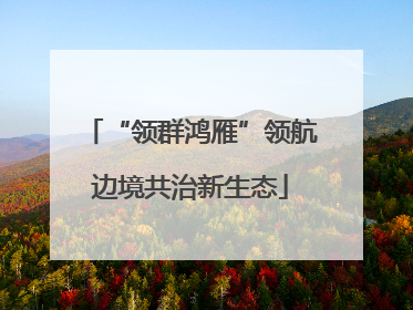 “领群鸿雁”领航边境共治新生态