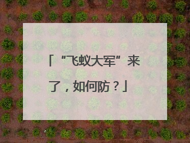 “飞蚁大军”来了，如何防？
