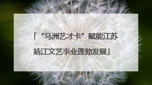 “马洲艺才卡”赋能江苏靖江文艺事业蓬勃发展