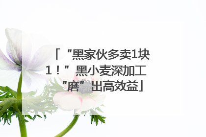 “黑家伙多卖1块1！”黑小麦深加工“磨”出高效益