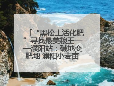 “黑松土活化肥”寻找最美粮王——濮阳站：碱地变肥地 濮阳小麦亩产1500多斤