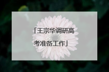 王宗华调研高考准备工作