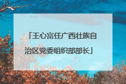 王心富任广西壮族自治区党委组织部部长