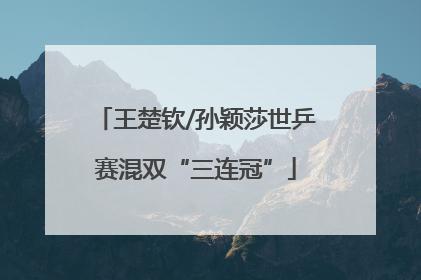 王楚钦/孙颖莎世乒赛混双“三连冠”