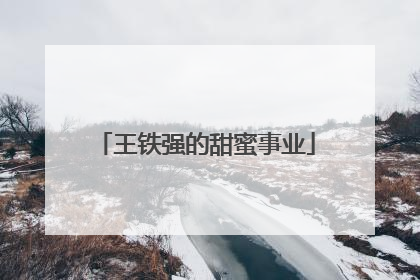 王铁强的甜蜜事业