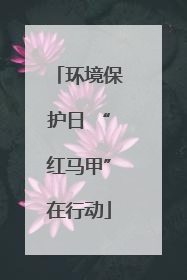 环境保护日 “红马甲”在行动