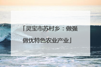 灵宝市苏村乡：做强做优特色农业产业
