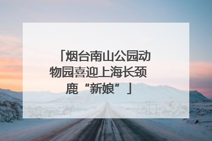 烟台南山公园动物园喜迎上海长颈鹿“新娘”