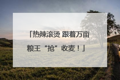 热辣滚烫 跟着万亩粮王“抢”收麦！