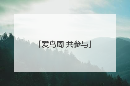 爱鸟周 共参与