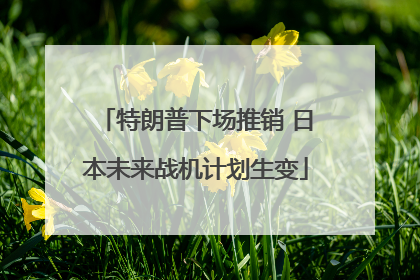 特朗普下场推销 日本未来战机计划生变