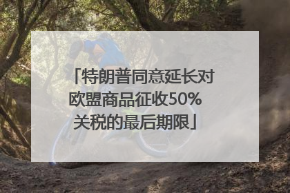 特朗普同意延长对欧盟商品征收50%关税的最后期限