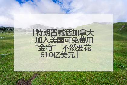 特朗普喊话加拿大：加入美国可免费用“金穹” 不然要花610亿美元
