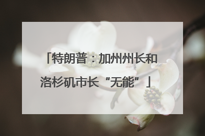 特朗普：加州州长和洛杉矶市长“无能”