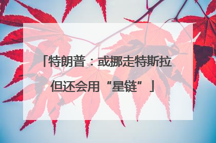 特朗普：或挪走特斯拉 但还会用“星链”