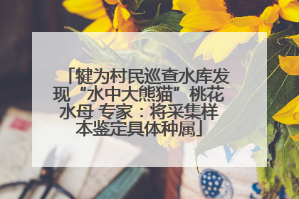 犍为村民巡查水库发现“水中大熊猫”桃花水母 专家：将采集样本鉴定具体种属