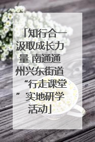 知行合一汲取成长力量 南通通州兴东街道“行走课堂”实地研学活动