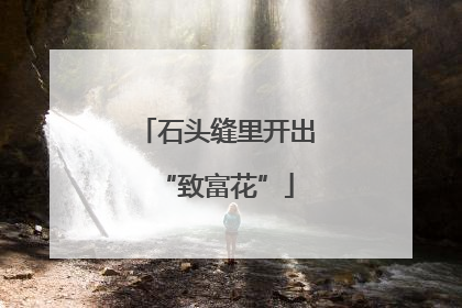 石头缝里开出“致富花”