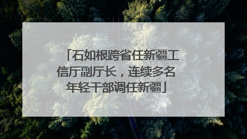 石如根跨省任新疆工信厅副厅长，连续多名年轻干部调任新疆