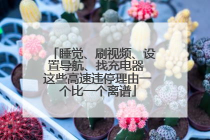 睡觉、刷视频、设置导航、找充电器 这些高速违停理由一个比一个离谱