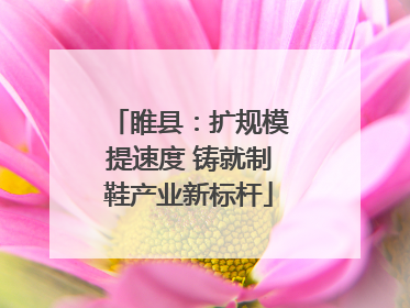 睢县：扩规模提速度 铸就制鞋产业新标杆