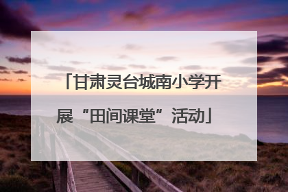 甘肃灵台城南小学开展“田间课堂”活动