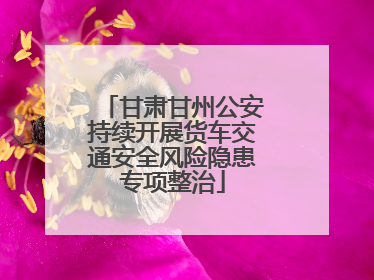 甘肃甘州公安持续开展货车交通安全风险隐患专项整治