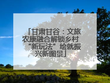 甘肃甘谷：文旅农康融合解锁乡村“新玩法”绘就振兴新图景