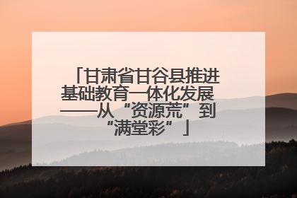 甘肃省甘谷县推进基础教育一体化发展——从“资源荒”到“满堂彩”