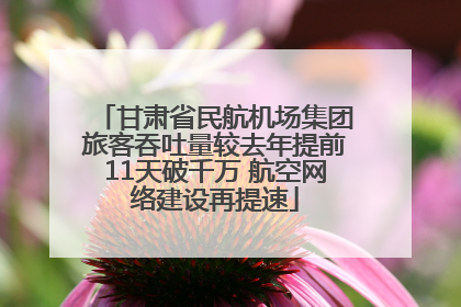 甘肃省民航机场集团旅客吞吐量较去年提前11天破千万 航空网络建设再提速