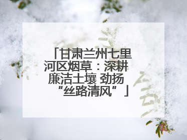 甘肃兰州七里河区烟草：深耕廉洁土壤 劲扬“丝路清风”