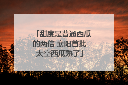 甜度是普通西瓜的两倍 襄阳首批太空西瓜熟了