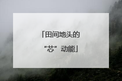 田间地头的“芯”动能