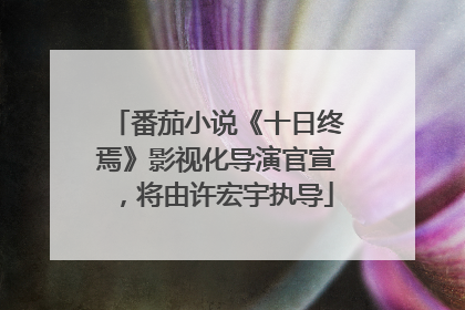 番茄小说《十日终焉》影视化导演官宣，将由许宏宇执导