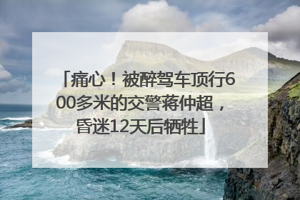 痛心！被醉驾车顶行600多米的交警蒋仲超，昏迷12天后牺牲