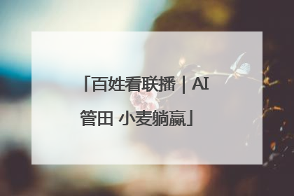 百姓看联播｜AI管田 小麦躺赢