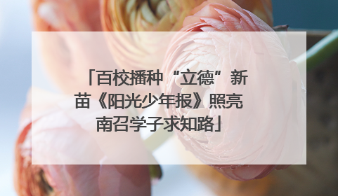 百校播种“立德”新苗《阳光少年报》照亮南召学子求知路