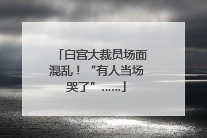 白宫大裁员场面混乱！“有人当场哭了”……