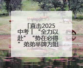 直击2025中考丨“全力以赴”“势在必得”弟弟举牌为姐姐加油