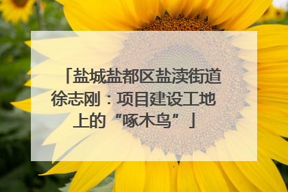 盐城盐都区盐渎街道徐志刚：项目建设工地上的“啄木鸟”