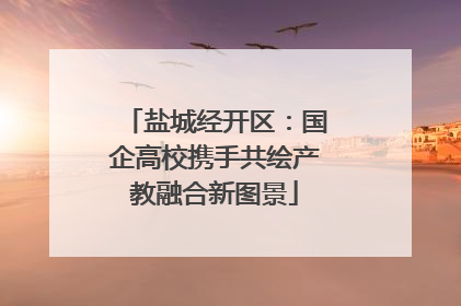 盐城经开区：国企高校携手共绘产教融合新图景